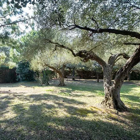 Lo Paller El Perello (Catalonia)
